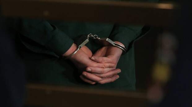 Суд в Москве арестовал гражданина России по делу о госизмене
