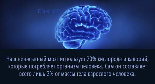 20 суперспособностей, которые есть у каждого анатомия, факты, человек