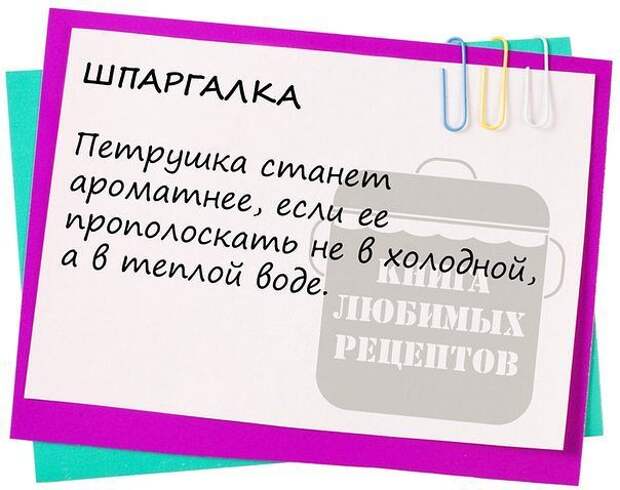 Шпаргалки на кухню хозяйке картинки