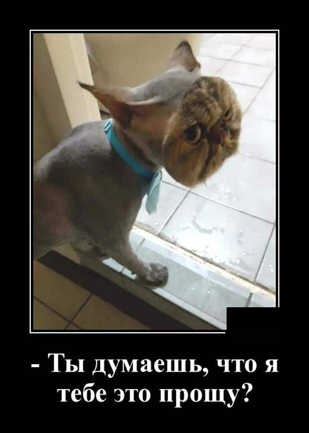 Демотиваторы (30 фото)