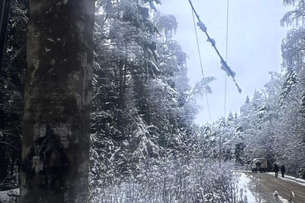 Энергоснабжение нарушено в шести районах Владимирской области из-за снегопада