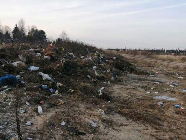 В Брянской области власти за год не убрали свалку, на которую жители пожаловались президенту