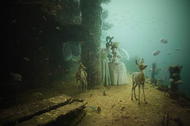 Невероятная фотогалерея на дне моря от Andreas Franke (5)