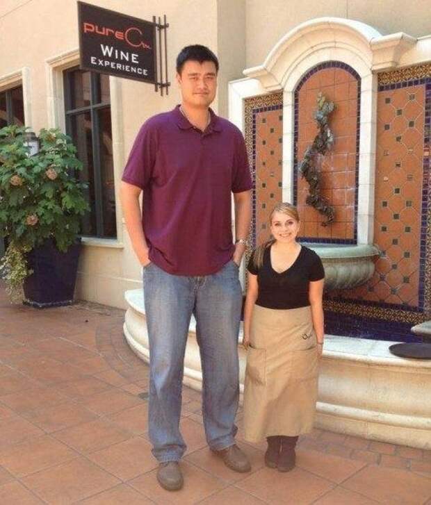 Прикоы из жизни высоких люде