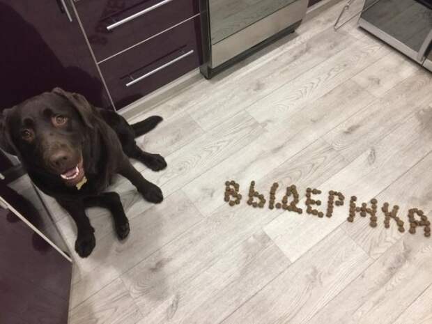 Прикольные картинки абавсём:D