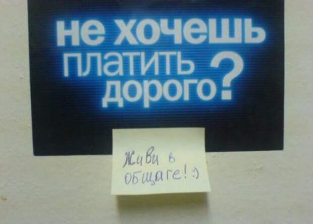 Лучшее время в жизни! Оценят те, кому довелось пожить в студенческом общежитии