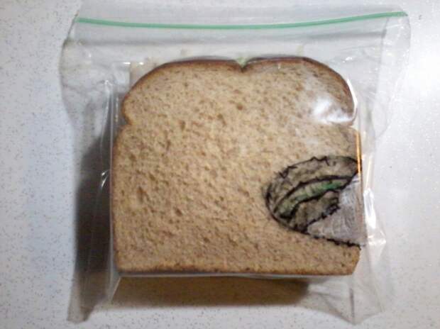 Or one that’s been partially eaten already.