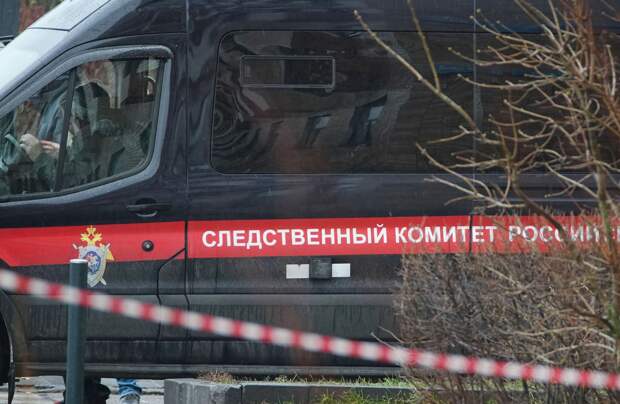 СК возбудил дело после жалоб на крематорий для животных в Петербурге