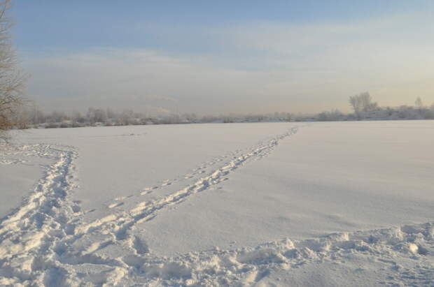 В Ленинградской области девушка замерзла насмерть ночью в поле