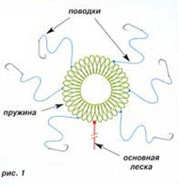 Ловля карпа на пружину