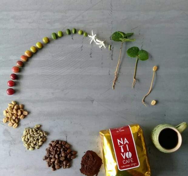 Таким мы его не видели: 10 фотографий, показывающих мир с незнакомой нам стороны