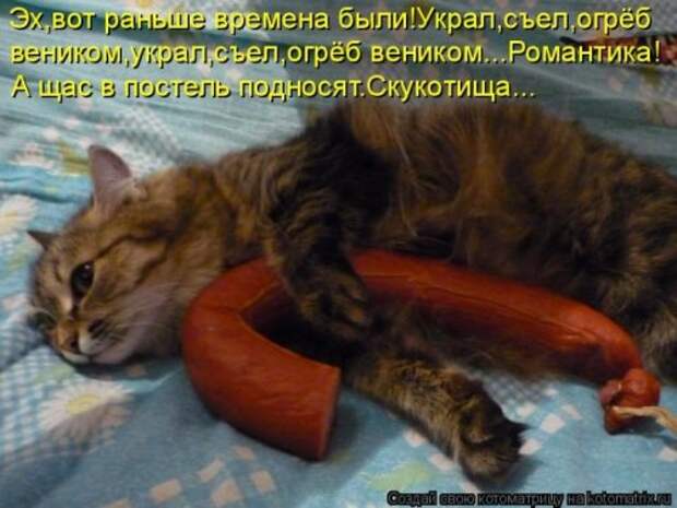 Забавные котоматрицы