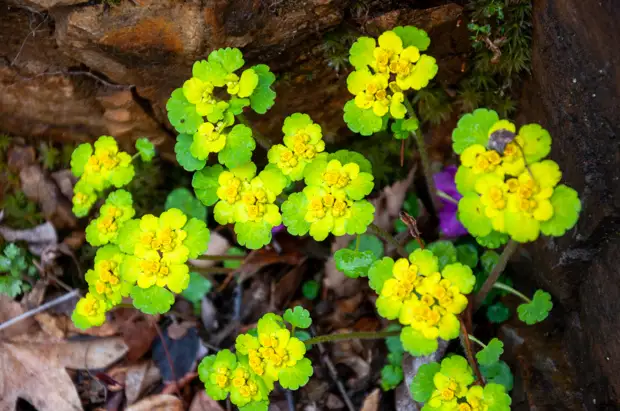 В поисках Шамбалы. Путешествие в Амурскую область.