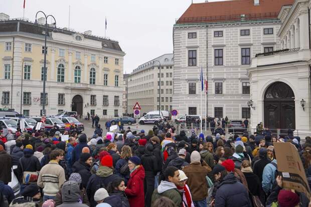 РИА Новости: в Вене прошел митинг против антироссийских санкций
