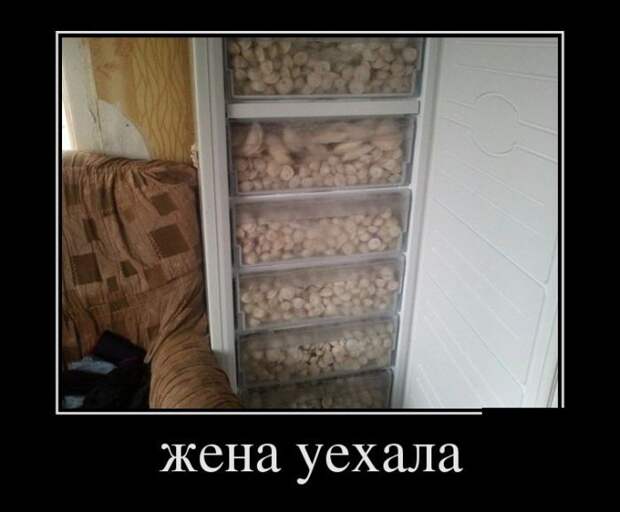 Сборник демотивационных приколов Сборник демотивационных приколов