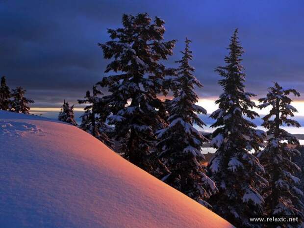 nature_025