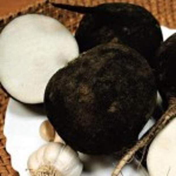 Cleansing the liver by radish. Очищение печени с помощью редьки