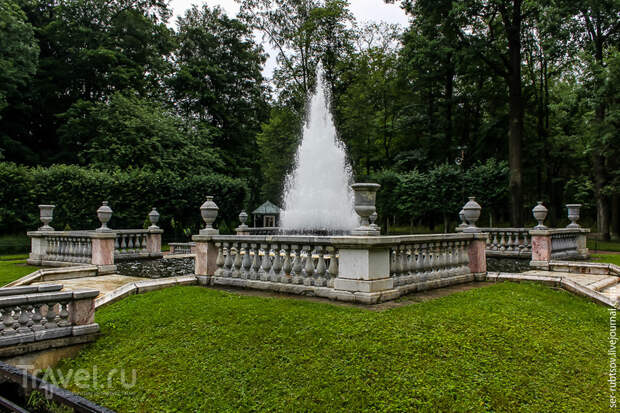 Прогулка по паркам Петергофа / Фото из России