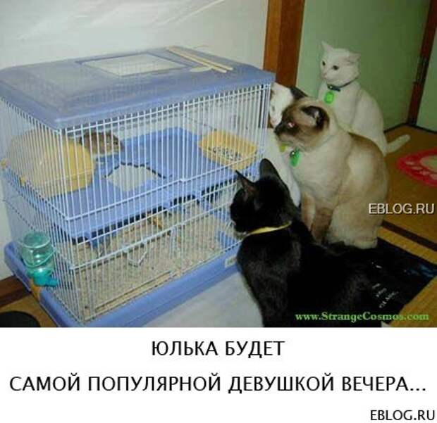 Пятничный позитив! Смотрим, заряжаемся на выходные! 20 прикольных картинок.
