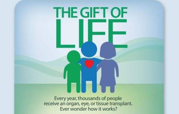 Be A Hero. Be an Organ Donor
