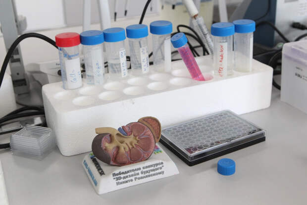 Какие анализы сдать для проверки иммунитета: памятка от врача