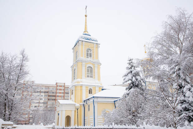 В Туле и области ожидаются 25-градусные морозы в субботу, 17 января