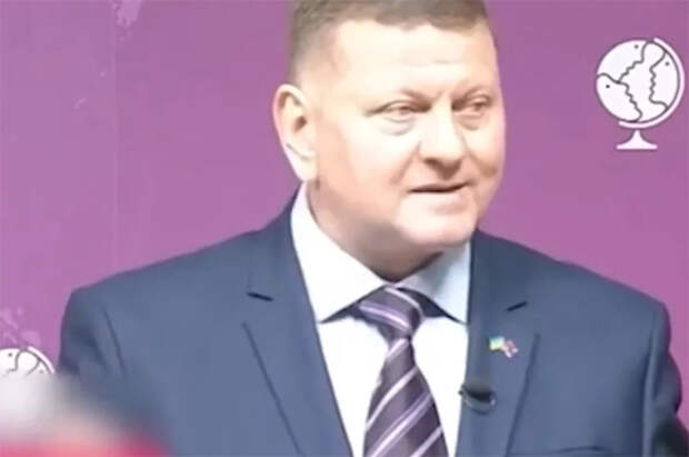 Залужный пообещал заставить несуществующего сына поклясться вернуть земли