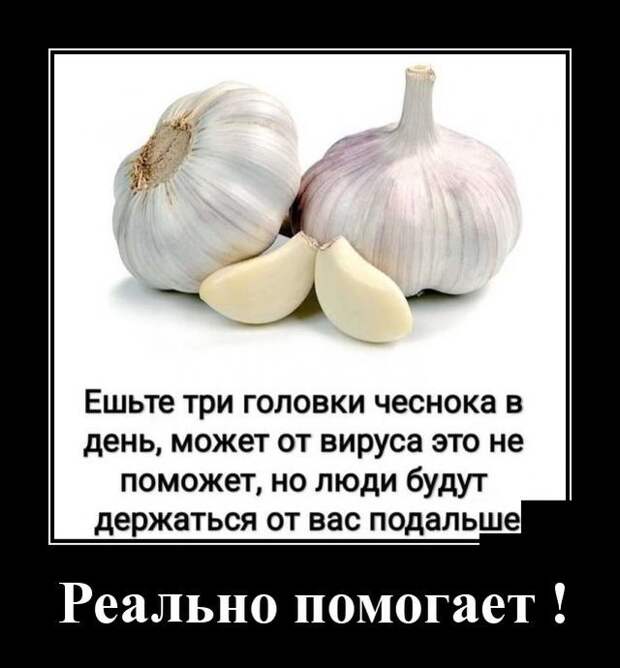 Демотиватор про чеснок во время эпидемии