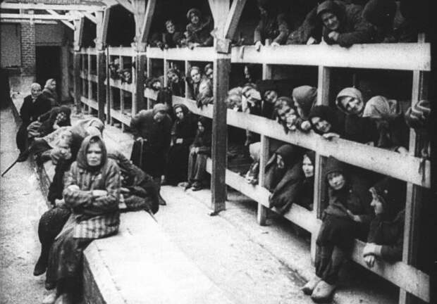 Женщины на войне: Почему для советских женщин-военнослужащих плен был страшнее боевых действий?