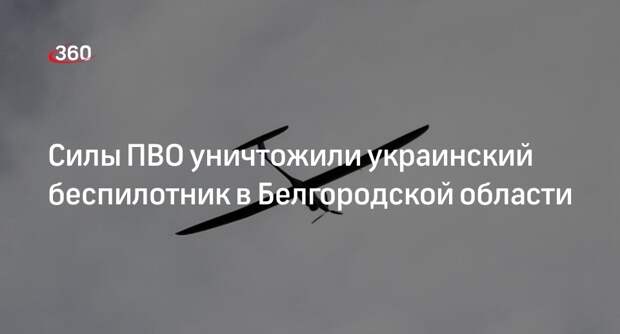 Минобороны России: над Белгородской областью уничтожили украинский дрон