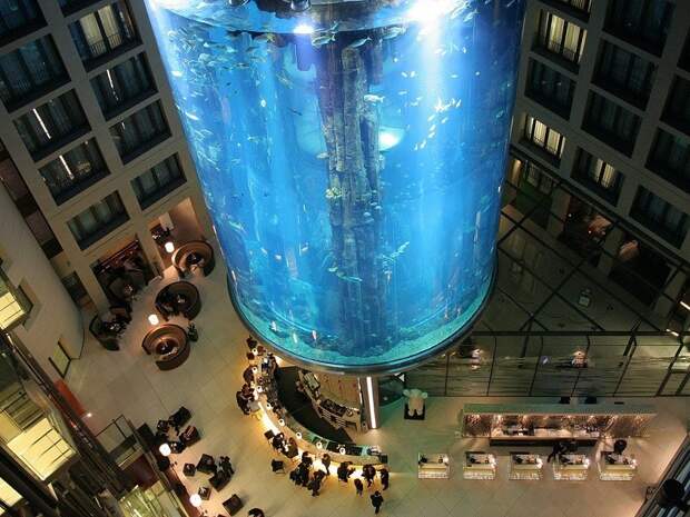 10. Аквариум «Aqua Dom», Германия история, лифт, мир, необычно, путешествия, факты