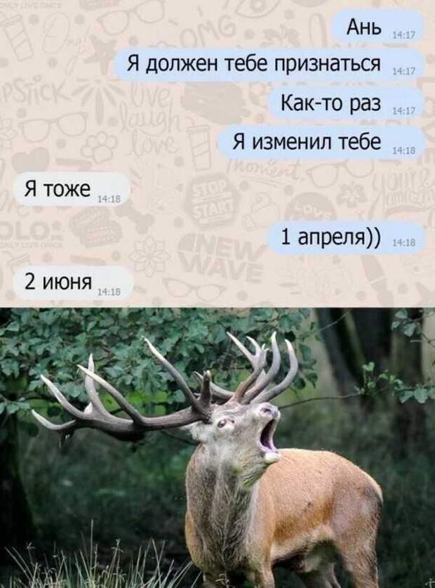 Всё, что вы стеснялись спросить об изменах Всё, что вы стеснялись спросить об изменах