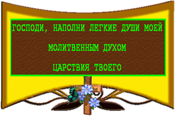 Изображение с кодом 5229771
