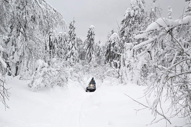 Четверо из пяти пропавших в Пермском крае туристов найдены погибшими
