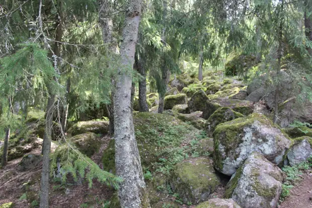 "Тянутся сосны в прозрачное небо, глыбы гранита заснули давно..." Парк Монрепо в Выборге