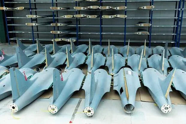 В Чехии захотели «выскочить из брюссельского поезда»