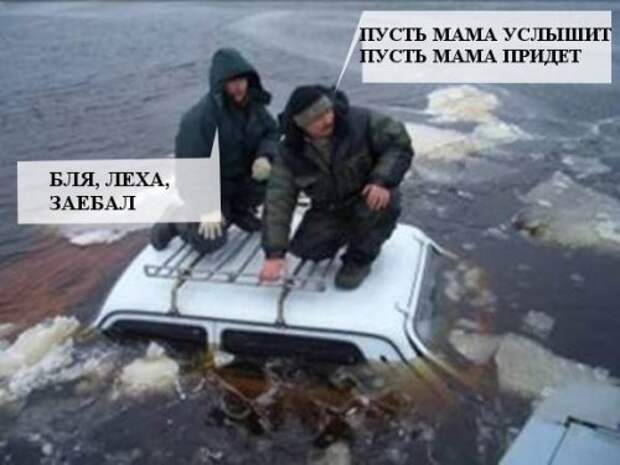 Приколы в интернете (42 шт)
