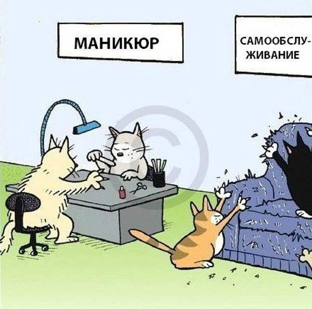 Всё в кучу 30