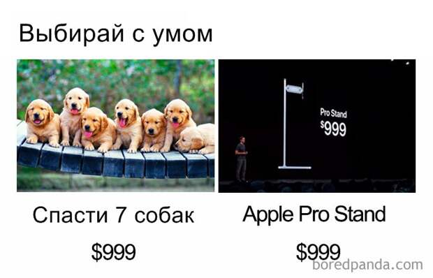 Люди смеются над двумя последними продуктами Apple. Вот 28 фото