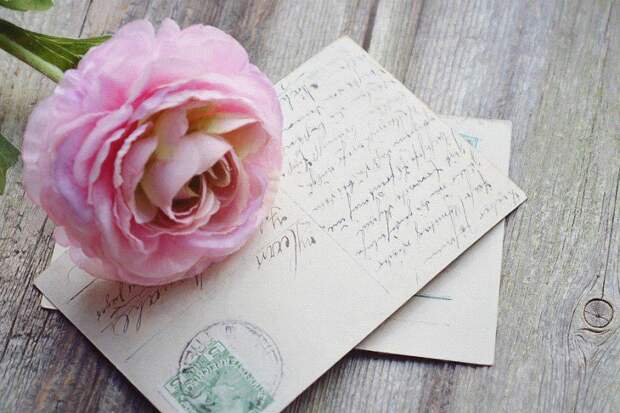 Цветы/ Фото pixabay.com