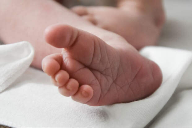 В 2025 году в Крыму зарегистрировали 204 двойни и одну тройню
