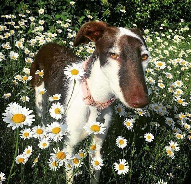 Фотоподборка