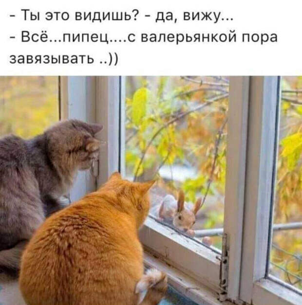 Источник изображения - Pinterest