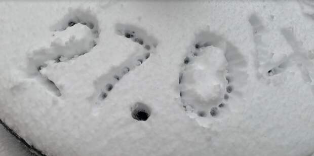 Синоптик Тишковец: в Москве за сутки выпала половина месячной нормы осадков