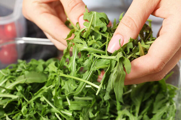 Садовод Туманов: первые партии зеленых культур следует засеивать в апреле