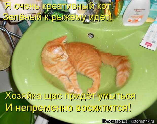 Котоматрица: Я очень креативный кот!  Зелёный к рыжему идёт!  Хозяйка щас придёт умыться  И непременно восхитится!