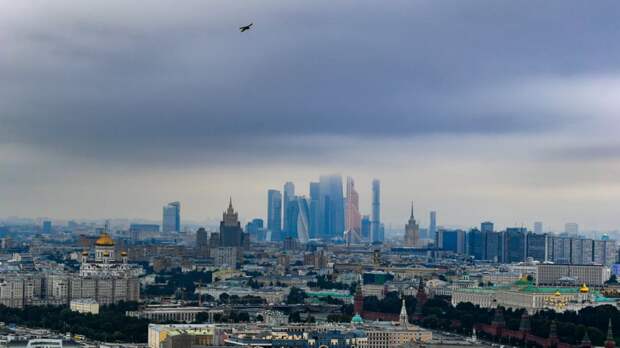 Москва реализует на торгах право аренды трёх спортивных объектов