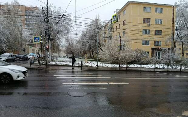 В Горроще оборвало провода, в городе падают деревья из-за непогоды