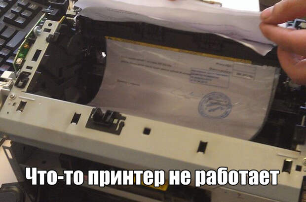 Картинки, юмор, приколы