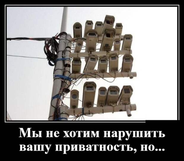 Демотиваторы (30 фото)